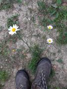 Top Ljubno Top Ljubno