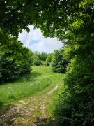 Top Bükkszentkereszt