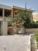 قرية الصفا الساحل الشمالي