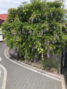 Top Sławianowo Top Sławianowo