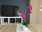 Top Caravaca de la Cruz