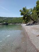 Top Sutomore