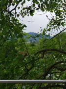 Top Monswiller Top Monswiller