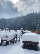 UpClimb Longstay for bus or taxi only guests