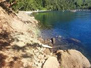 Top Lago Ranco Top Lago Ranco