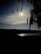 Amazing Views Pet Friendly Bed and Breakfast