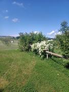 Agriturismo Il Cipresso