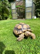 Top Le Breuil-en-Auge