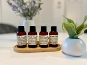 Modern apartment in Edgewater