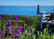 Top Balchik