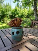 Top Bochnia Top Bochnia