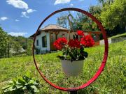 Casa rustica Cerdacul Batranesc