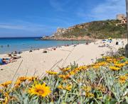 Top Santa Teresa Gallura