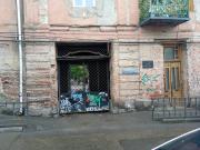 birdhome in Tbilisi (Maria)