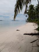 Top Alaban Top Alaban