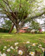 La Casa Rossa nell’Oasi verde