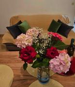 Apartmani Rita Jasmin