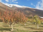 Top Horcon Top Horcon