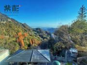 Top Wudangshan