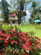 Top Darjeeling