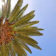 Apartamentos Borda D´Agua