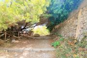 Top Jávea
