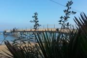 Top Francavilla al Mare