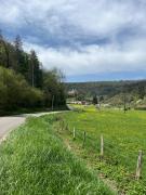 Serene Wilderness Getaway for 15 next to a historic castle