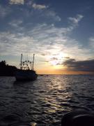 Top Ilhabela