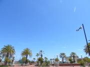 Homiday - Riviera Palace