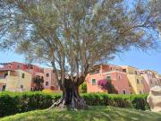 Top Santa Teresa Gallura