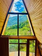 Prime House Cottages