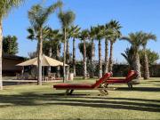 Top Marrakesz