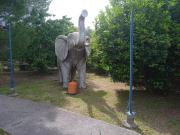 Top Méjannes-lès-Alès