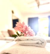 Pacific Harbor Pool View