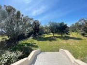 Top Figari