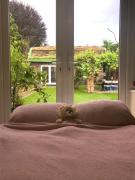 Top Lydiard Millicent