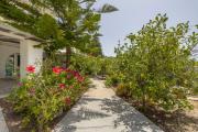 Top Kampos Paros
