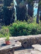 Top Montalcino