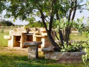 Top Krnica Top Krnica