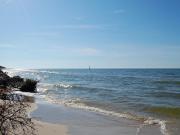 Top Dębki Top Dębki