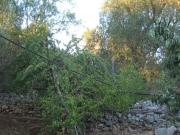 Top Francavilla Fontana