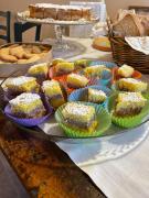 Top Villanova dʼAsti