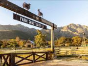 Extraordinary Barn Loft at Animal Sanctuary