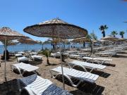 Bodrum-Turgutreis Merkezde Plaja 50 Metre uzaklıkta 1 ve 2 numaralı daireler