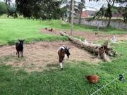 Jolie maison à la ferme, Jossigny, 10 min Disney