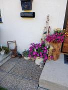 Appartement Bergliebe-Schneiderbauer