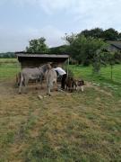 Top Belle-Isle-en-Terre