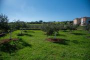 Villa Olivo