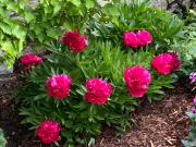 Ferienwohnung Laimer, Radau 37